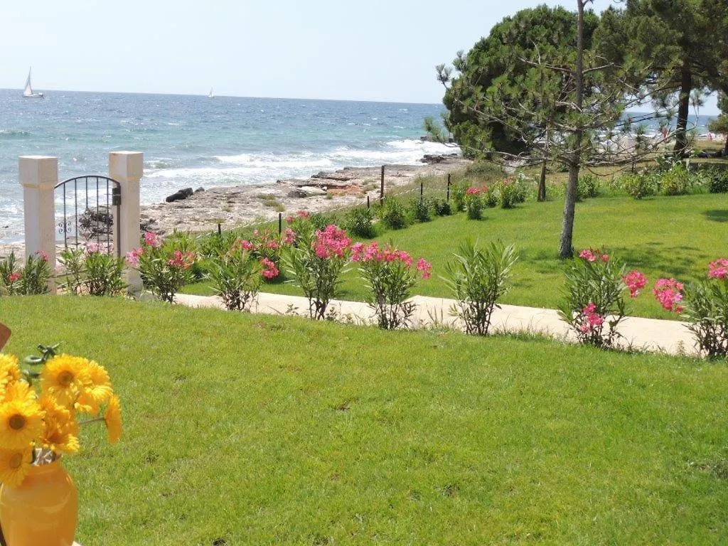 Apartments Erica Luxury Novigrad Istria