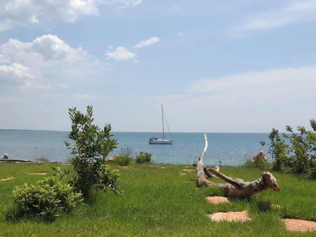 Apartments Erica Luxury Novigrad Istria 0*,